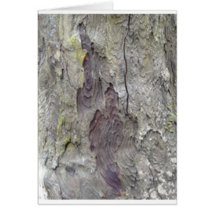 Bel arbre