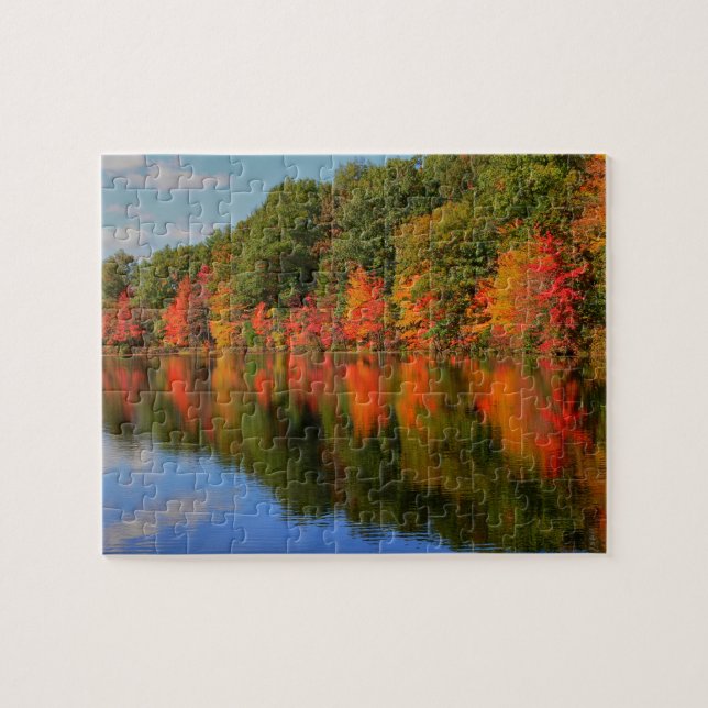 Bel automne dans le puzzle de la Nouvelle (Horizontal)