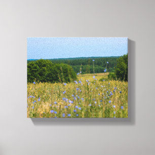 Belarus Landschaft Landschaft Landschaft Leinwand 