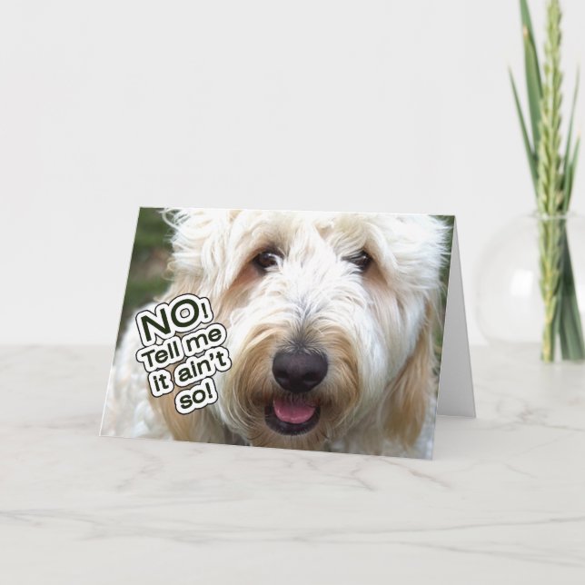 BELATED BIRTHDAY CARD - NEIN, SAGEN SIE MIR, ES IS KARTE (Vorderseite)