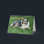Belated Birthday-customize Karte<br><div class="desc">Ol' Duke was my Dad's dog and Daddy's spoiled him rotten with cookies. Australian Shepherds make wonderful companions. Use the empfind inside or change to your words with my easy template.</div>