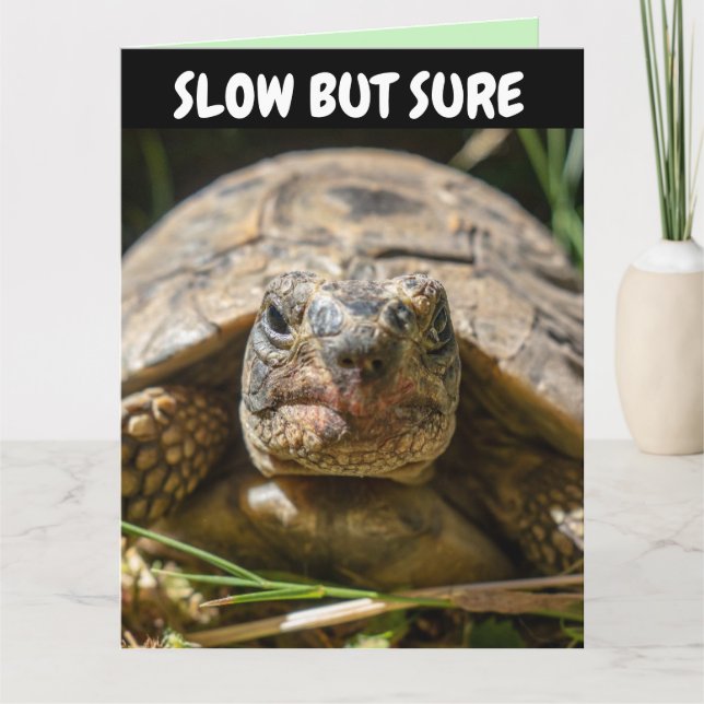 BELATED BIRTHDAY FUNNY TURTLE Grußkarte Karte (Vorderseite)