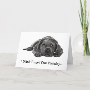 BELATED BIRTHDAY: HATTE NICHT VERGESSEN: ZU LAZY,  KARTE