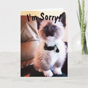 Belated Birthday Ich bin Sorry Niedlich Siamese Ki Karte