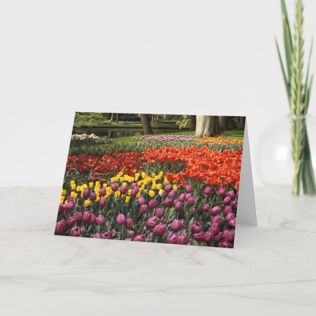 Belated Birthday Wish Keukenhof Garden Karte (Vorderseite)