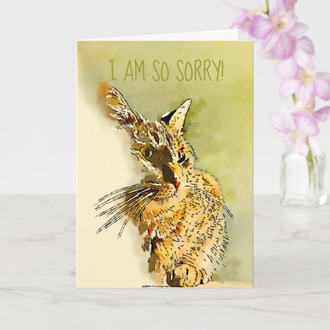 Belated Sorry Red Tabby Kitty Replaceable Foto Karte (Orchidee)