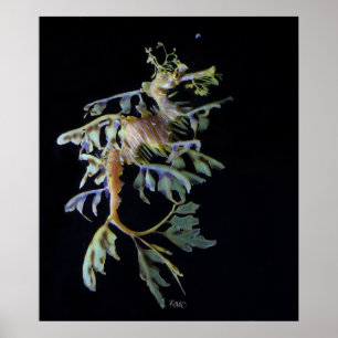 Belaubte Seadragon u. Mysid Garnele Poster