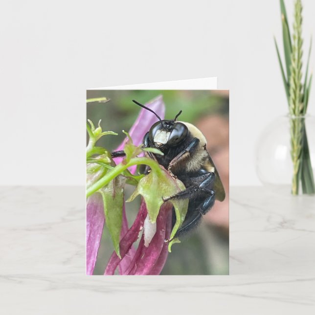 Belebt als Biene Ankündigung (Vorderseite)