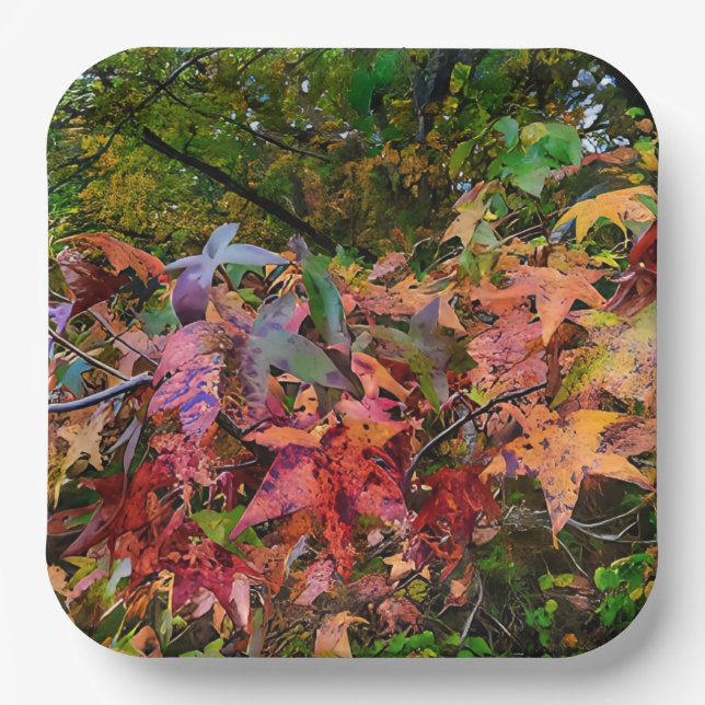 Belebte Fall-Foliage Pappteller (Vorderseite)