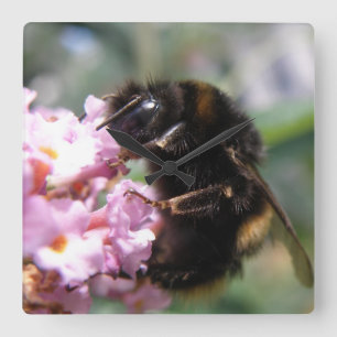 Belebte Hummel und rosa Blume Wall Clock Quadratische Wanduhr