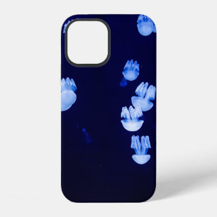 BELEUCHTETE LATERNEN iPhone 12 HÜLLE