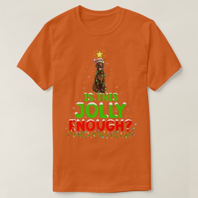 Beleuchtung ist dieses fröhlich genug irische Sett T-Shirt (Design vorne)