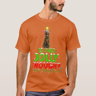 Beleuchtung ist dieses fröhlich genug irische Sett T-Shirt