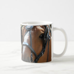 Belge dans la tasse de harnais