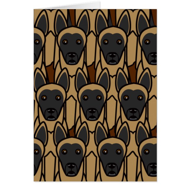 Belge Malinois (Devant)