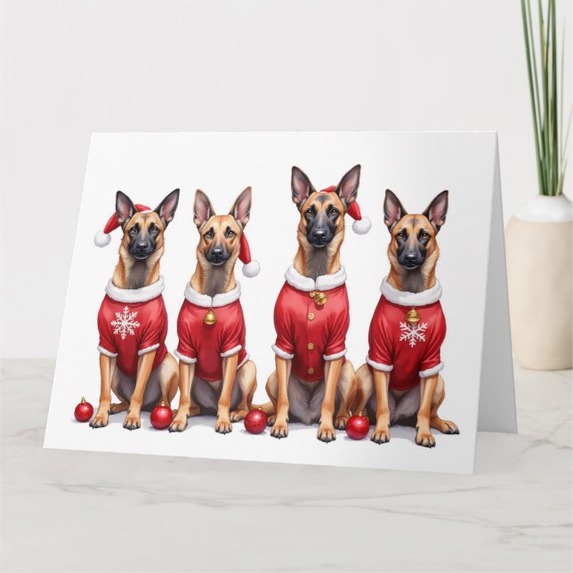 Belgian Malinois Christmas Dress Santa Hat Karte (Vorderseite)