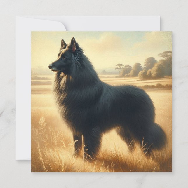 Belgian Sheepdog Karte (Vorderseite)