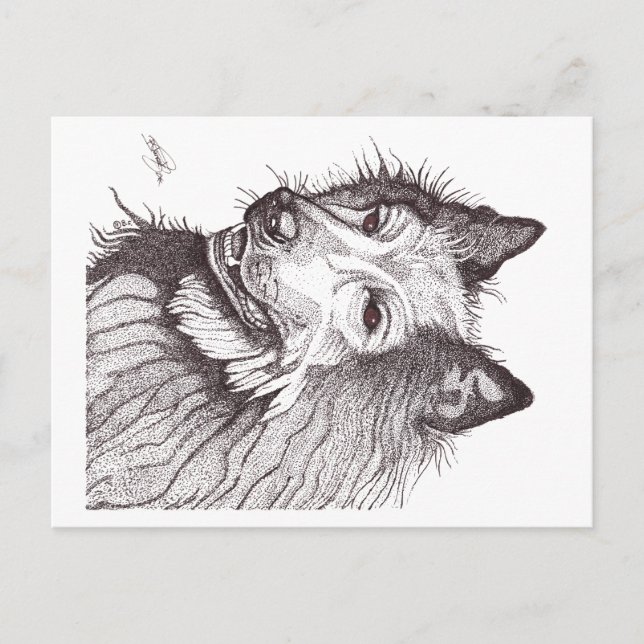 BELGIAN SHEPHERD GROENENDAEL POSTKARTE (Vorderseite)