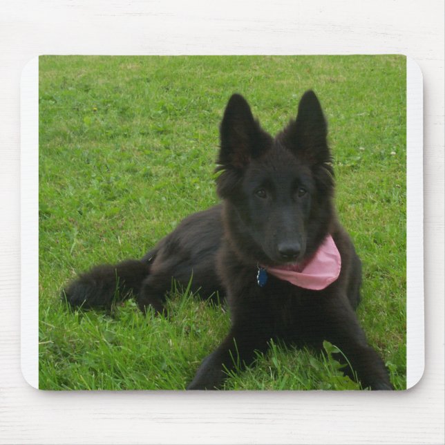 Belgian_Shepherd_Groenendael_puppy Mousepad (Vorne)