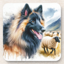 Belgian Tervuren