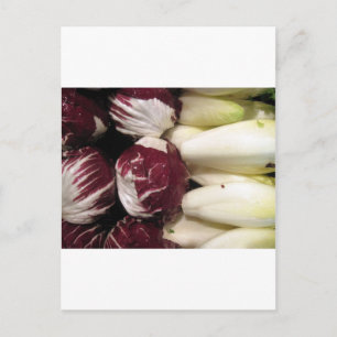 Belgien Endigo Postkarte