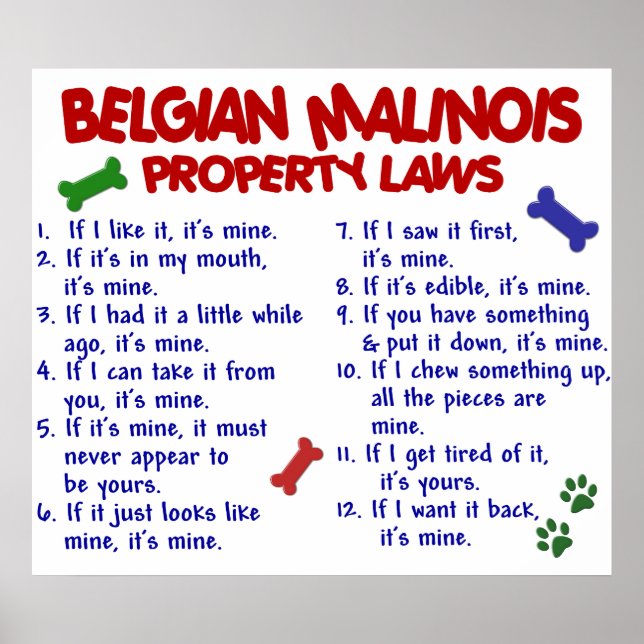 BELGIEN MALINOIS PL2 POSTER (Vorne)