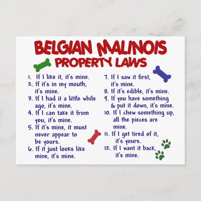 BELGIEN MALINOIS PL2 POSTKARTE (Vorderseite)