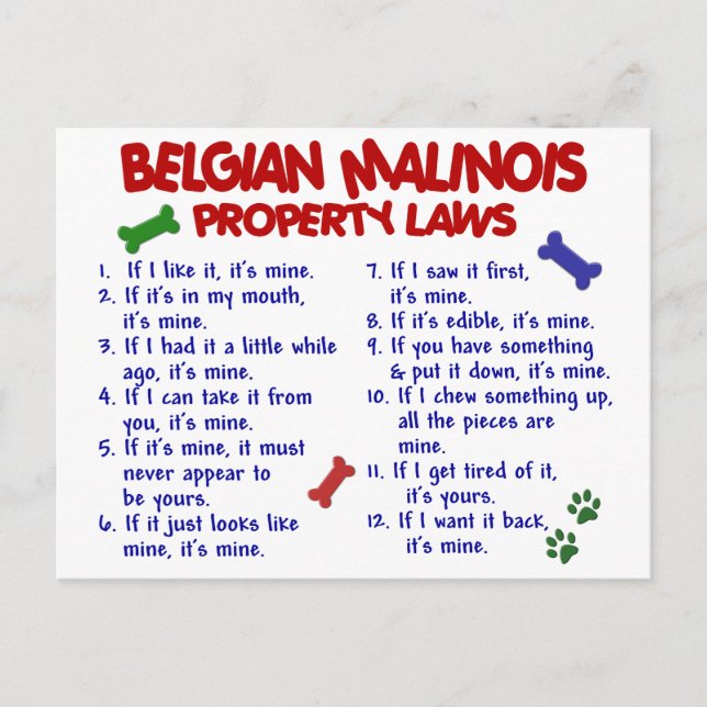 BELGIEN MALINOIS PL2 POSTKARTE (Vorderseite)