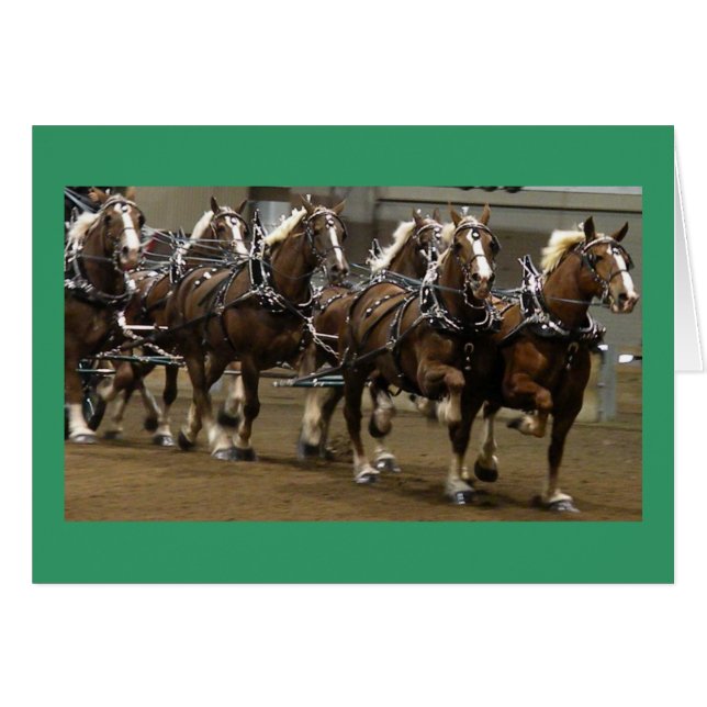 Belgier-Karte (Vorderseite (Horizontal))