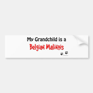 Belgier Malinois Enkelkind Autoaufkleber