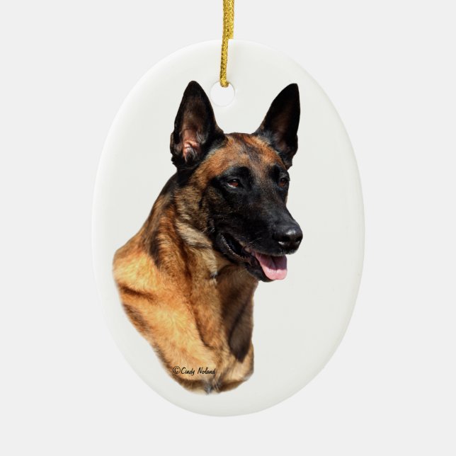 Belgier Malinois Hauptverzierung Keramikornament (Vorne)