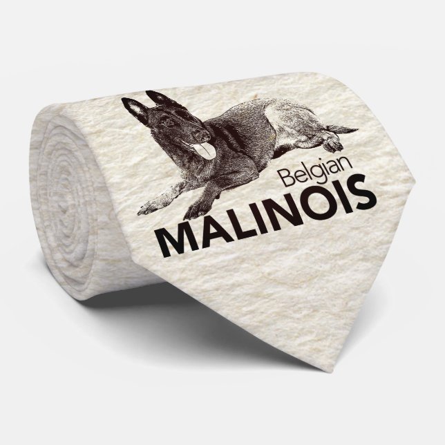 Belgier Malinois - Mechelaar - Maligator Krawatte (Gerollt)