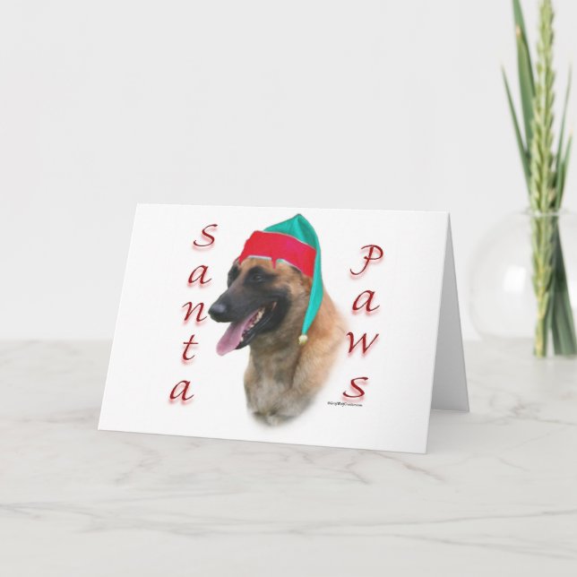 Belgier Malinois Sankt Tatzen Feiertagskarte (Vorderseite)