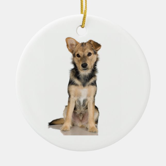 Belgier Malinois Verzierung Keramikornament (Vorne)