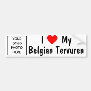 Belgier Tervuren Autoaufkleber