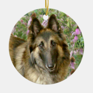 Belgier Tervuren Freidnship Verzierung Keramik Ornament