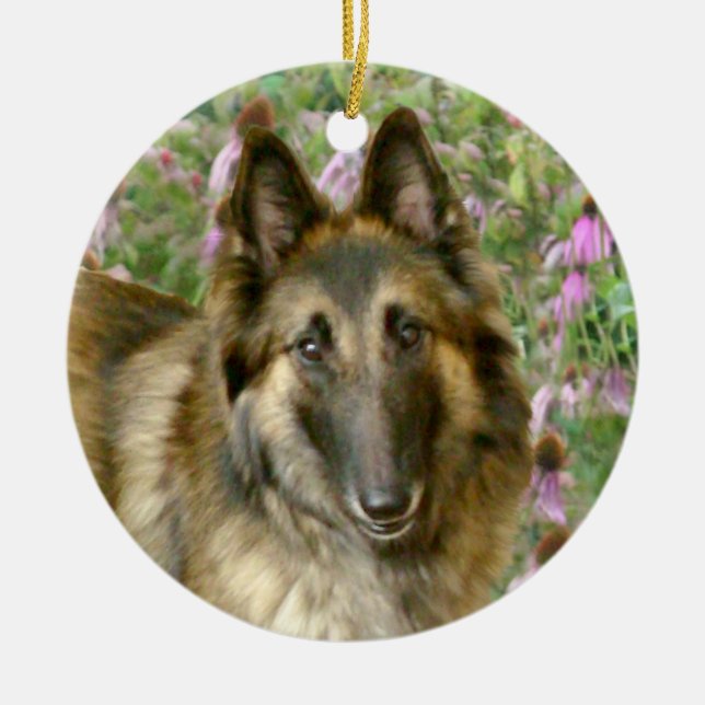 Belgier Tervuren Freidnship Verzierung Keramik Ornament (Vorne)