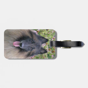 Belgier Tervuren Gepäckanhänger
