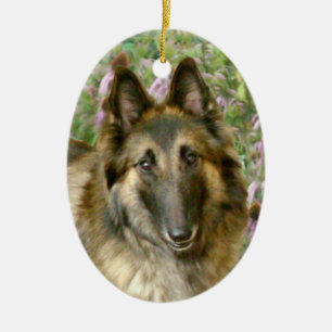 Belgier Tervuren Keramikornament