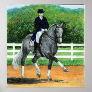 Belgier Warmblood Dressage-Pferdeporträt Poster