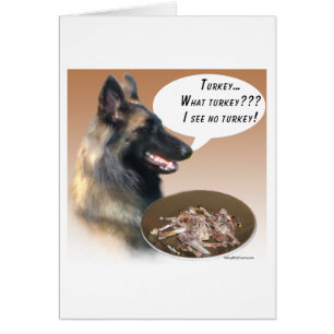 Belgique Tervuren Turquie