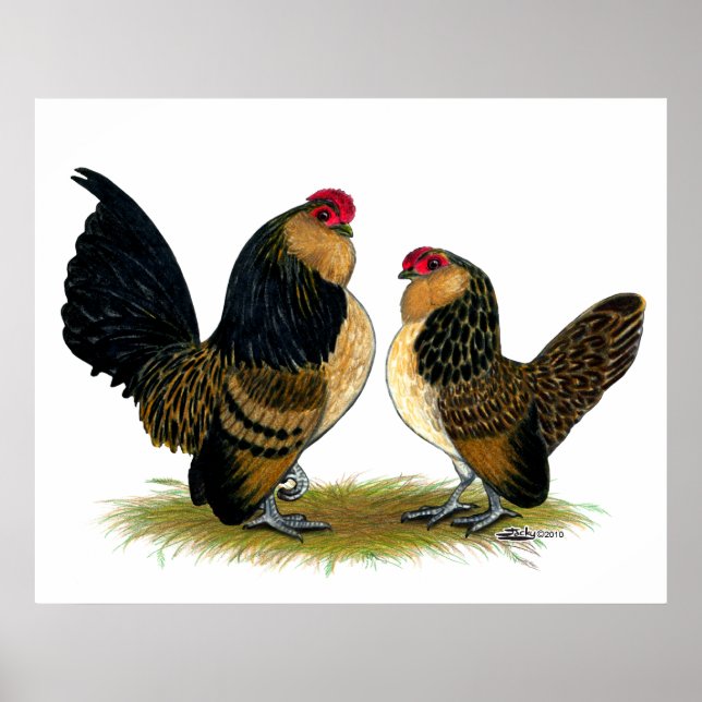 Belgisch d'Anvers Bantams: Quail Poster (Vorne)
