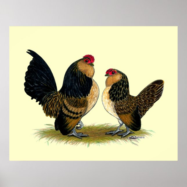 Belgisch d'Anvers Bantams: Quail Poster (Vorne)