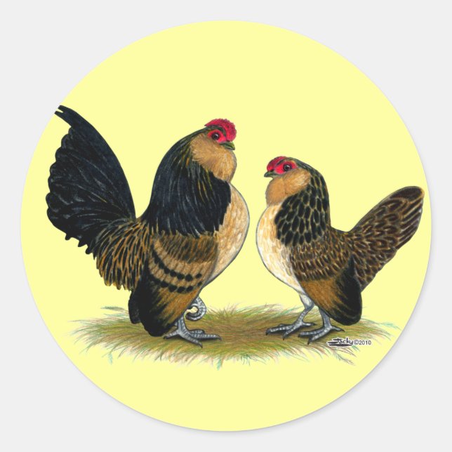 Belgisch d'Anvers Bantams: Quail Runder Aufkleber (Vorderseite)