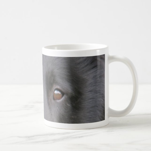 Belgisch_Groenendael eyes.png Kaffeetasse (Rechts)