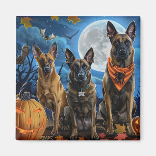 Belgisch Malinoi Halloween Spooky Magnet