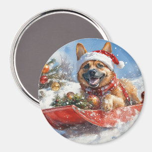 Belgisch Malinoi in Sledge Let it Snow Christmas Magnet