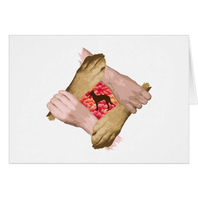 Belgisch Malinois (Vorderseite (Horizontal))