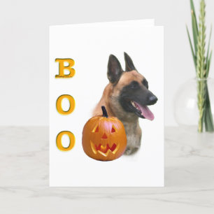 Belgisch Malinois Boo Feiertagskarte