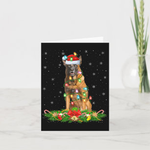 Belgisch Malinois Dog Christmas Lights Funny Santa Karte